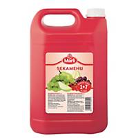 MARLI MIXED FRUIT JUICE CONCENTRATE 5 L