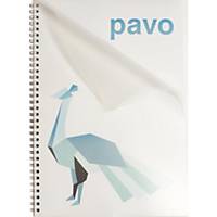 Pack 100 capas de encadernação Pavo - A4 - PE - transparente