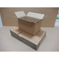 Double Wall Kraft Cardboard Box 250X180X140mm Pack of 20
