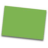 Pack de 25 cartulinas FABRISA 50x65 170g/m2 color verde