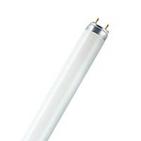OSRAM T8  Fluorescentie lamp L18W840 Koelwit-G13-1350 lm-D 26mm-L 590mm-25-pak