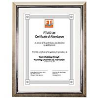 Premium Certificate Frames Silver Size A4