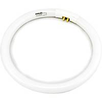 PHILIPS Tl-E 840 Fluorescent Ring 32W Cool White