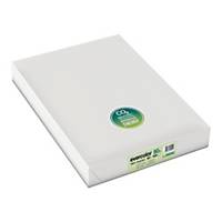 Papier kolorowy EVERCOLOR, A3, jasny zielony, 80 g/m², 500 arkuszy