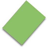 Pack de 50 cartolinas FABRISA A4 170g/m2 cor verde