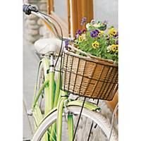 Wenskaarten bloemen in fietsmand, pak van 6 kaarten