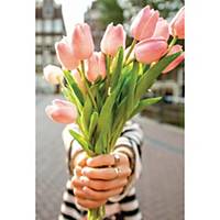 Greeting card tulips no tekst - pack of 6
