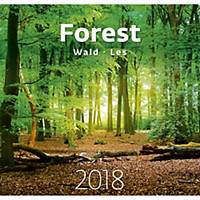Forest/Les - mesačné medzinárodné kalendárium, 14 listov, 34 x 32,5 cm