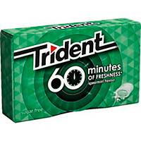 TRIDENT 60  CHEWING GUM MINT 20G