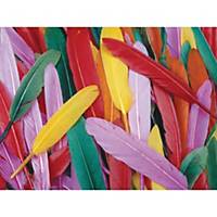 BX145 COLORATIONS FEATHERS 10CM ASSORTED