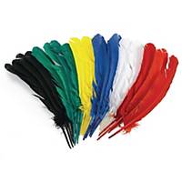PK24 COLORATIONS FEATHERS 30CM ASSORTED