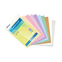 Pack de 10 cartolinas SADIPAL SIRIO A3 170 g/m2 cores sortidas