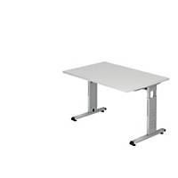 Schreibtisch VOS12-W, verstellbar, Größe: 120 x 80cm, weiß