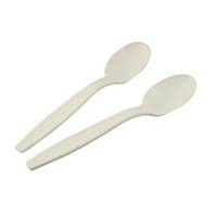 Biodegradable Spoon 6.5 inch - Pack of 100