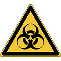 Avertissement risque contamination biologique Brady W009, PP, 200x173mm, 1 pièce