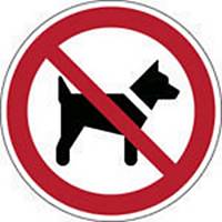 Autocollant interdiction chiens ou animaux Brady P021, 50 mm, 2 pièces