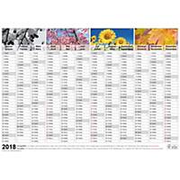 Wandkalender Simplex 4033040, 1 Jahr pro Seite, mit Bilder