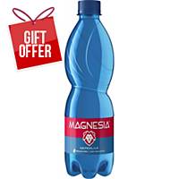Magnesia Still Mineral Water, 0.5l, 12pcs